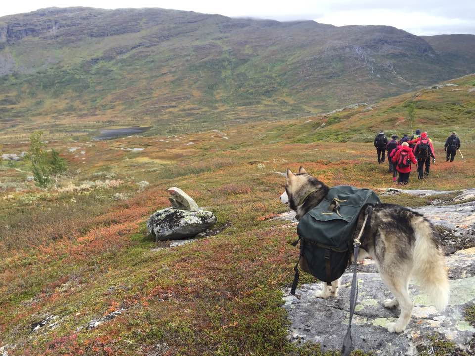 14291923_10210315618515175_3564552209063463743_n