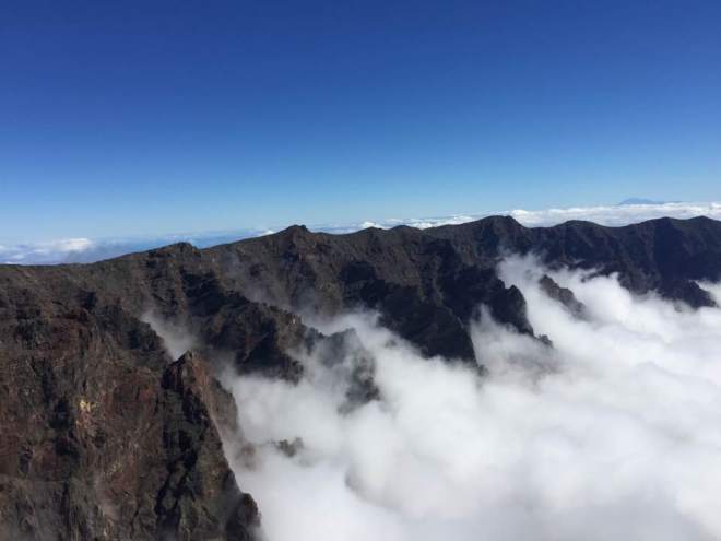 16195397_10211728305231460_2746754612242017921_n