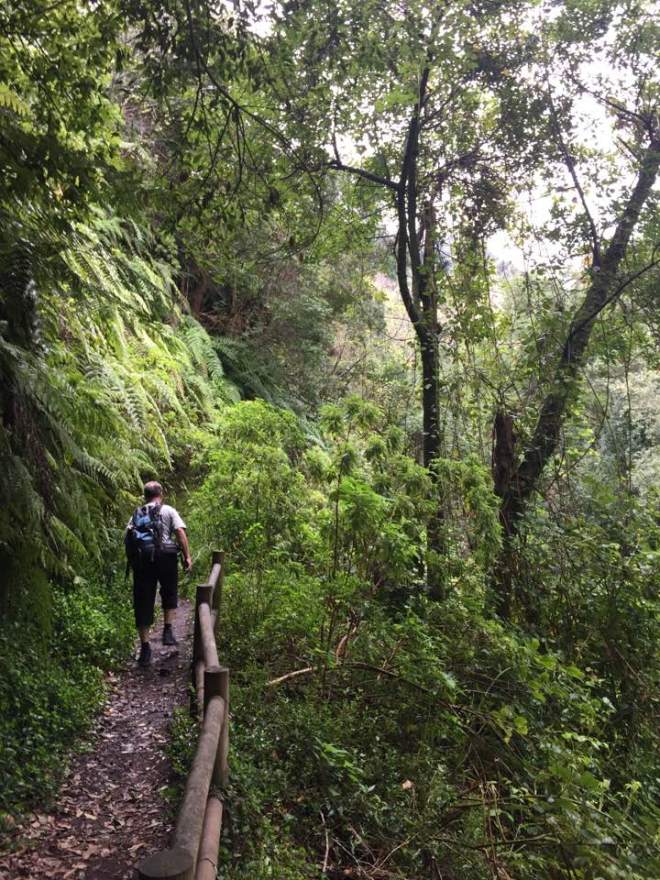 16195538_10211728304391439_7158921103083385041_n