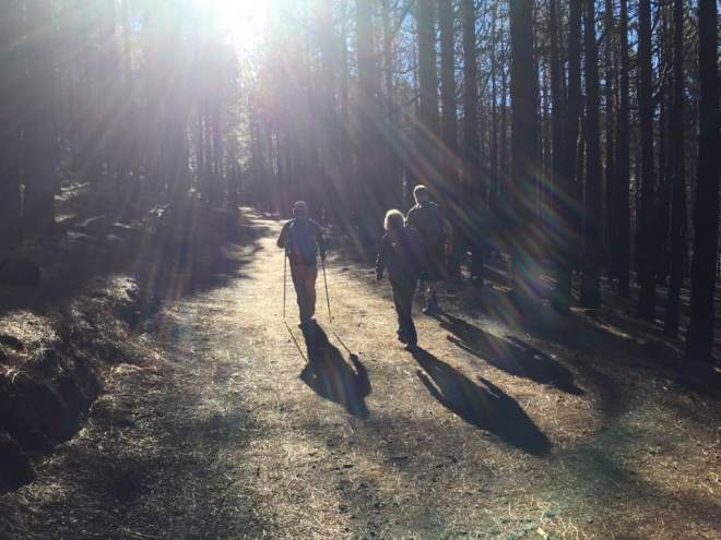 16265930_10211728303471416_4229954284222175233_n