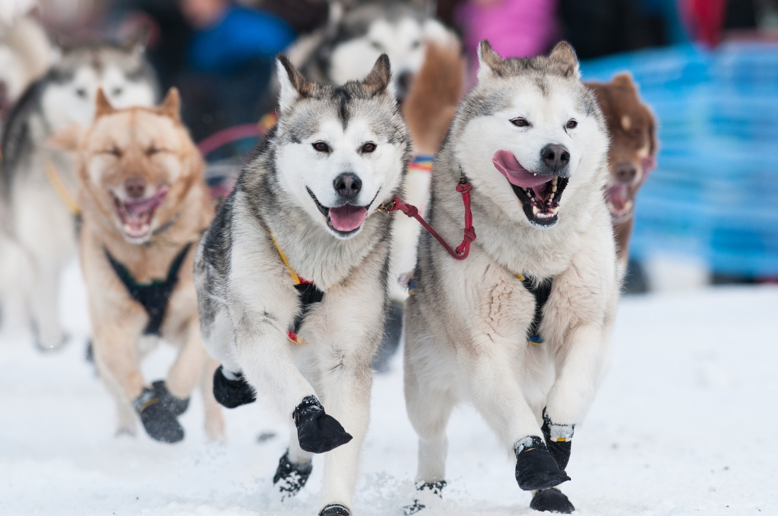 I9aQ-sclyHcJSyJUNwNengZFCWIS3ll-689mUf-eNCkQ