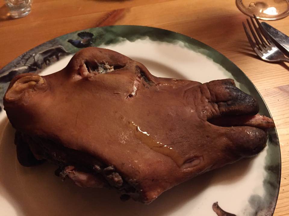 21314431_10213850736010903_6214093514434194717_n