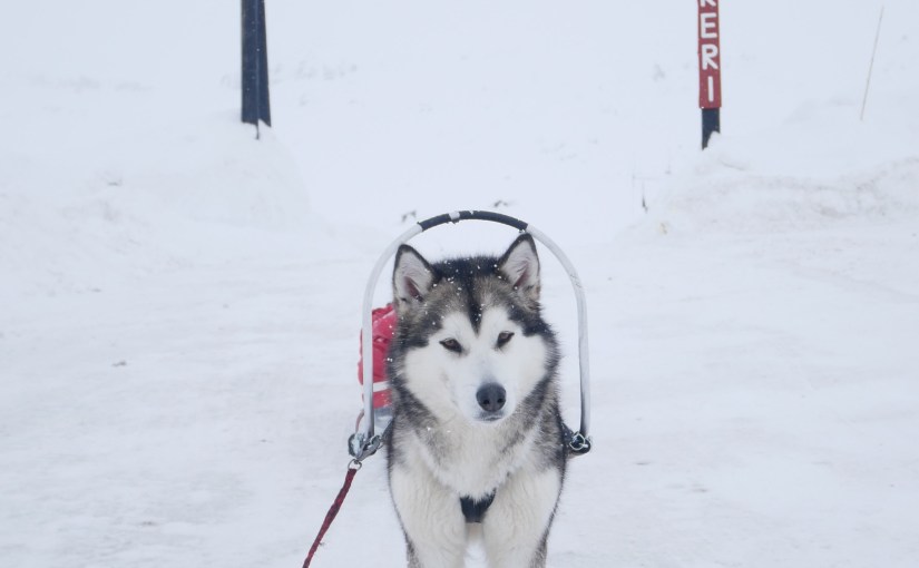 Dag 17: Fra Haukeli til Hellevassbu uten å se en&nbsp;meter