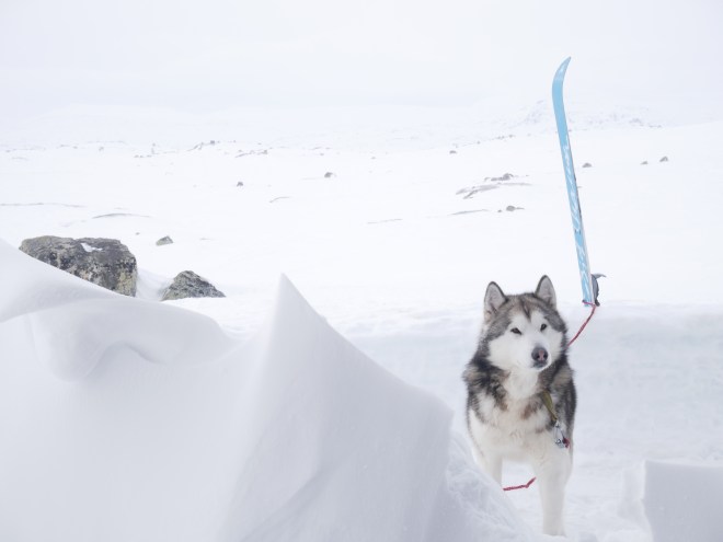 1DED7E0D-A153-4254-A748-33F95DAE0201