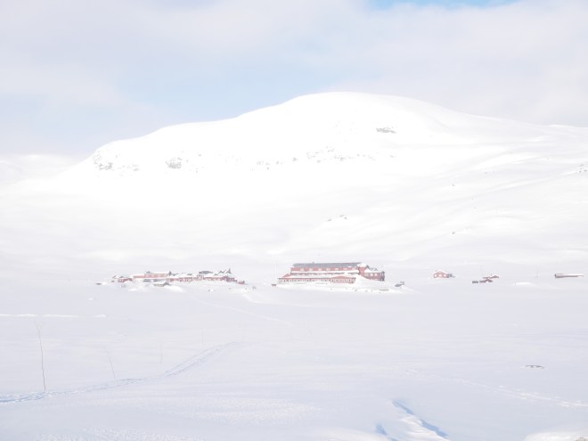 1F09181E-AC33-41D6-ADF8-40A2A9C22DF9