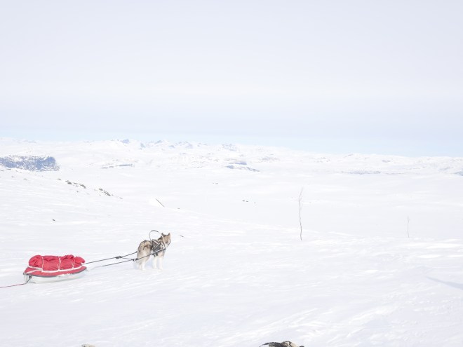 66481E0C-35CA-4473-81AD-E8B8D205DD2A