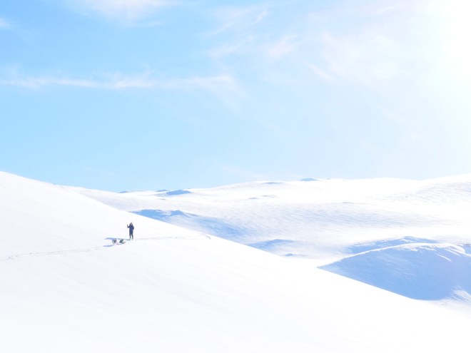 7033F462-747A-425B-8082-ED99B1163B89