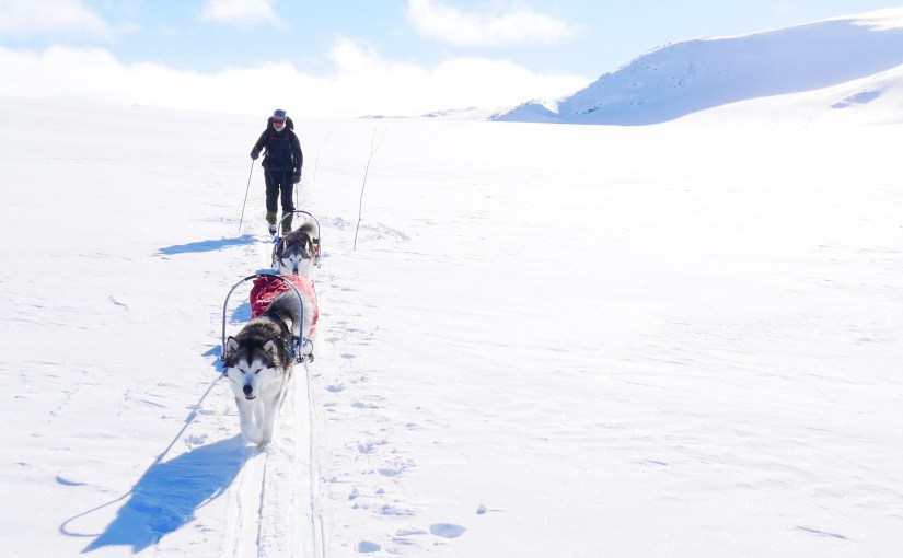 Dag 27: Lang fin tur fra Iungdalshytta til&nbsp;Breistølen