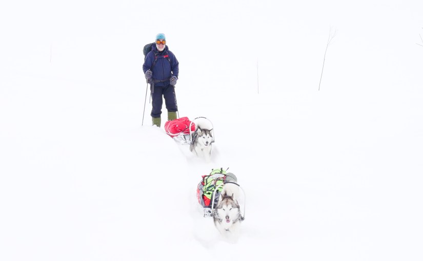 Dag 26: Brøytet løype fra Kongshelleren til&nbsp;Iungsdalshytta