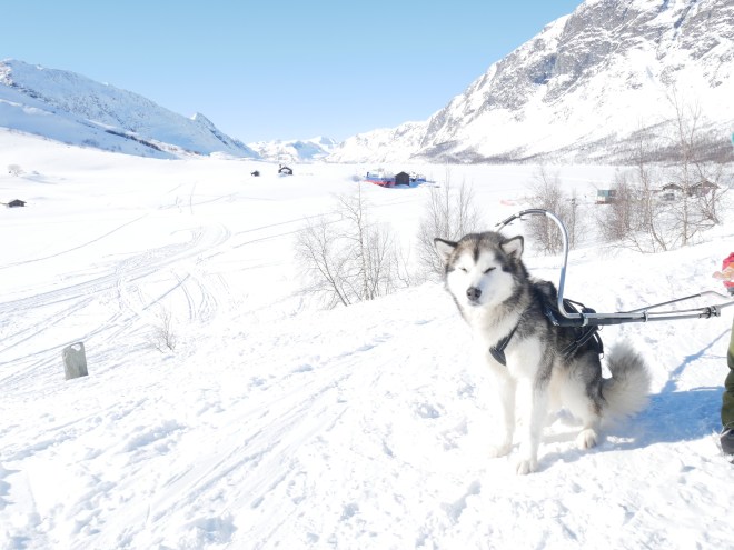 CC14365C-1EA7-4E00-920D-FDC809CBEA48