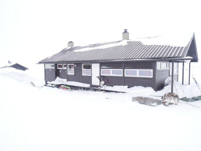 D030B66D-B782-4F2C-9221-F8095A9B3399