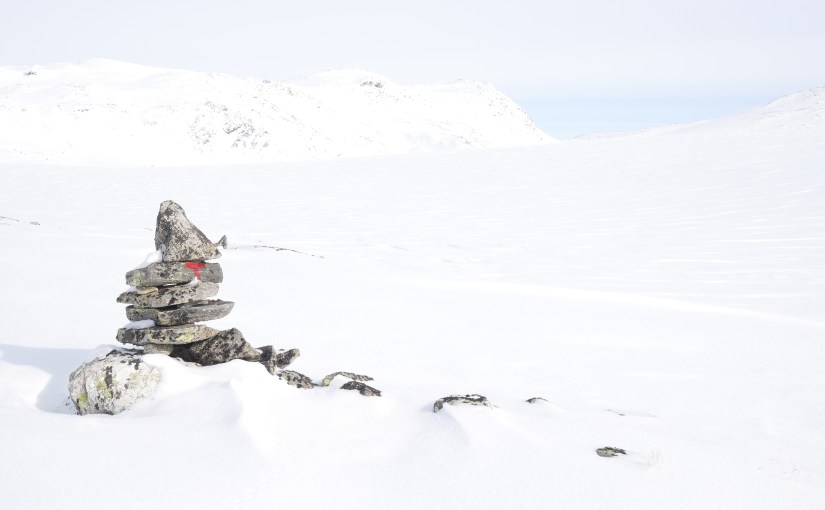 Dag 28: Enda en lang og fin tur fra Breistølen til&nbsp;Tyinkrysset