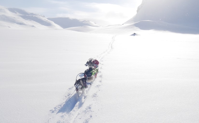 Dag 18: Fin tur fra Hellevassbu til&nbsp;Litlos
