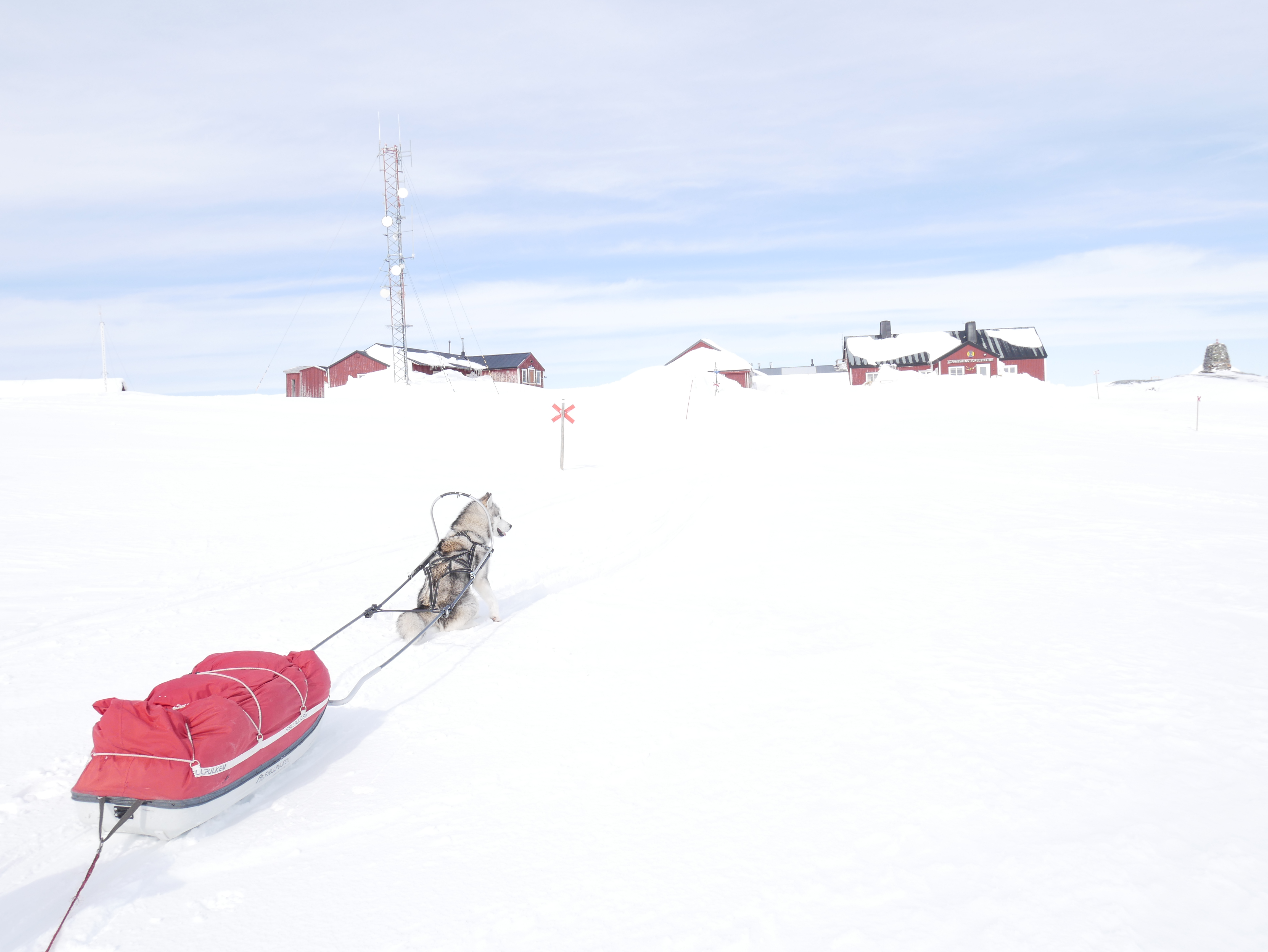 24F74EA8-A8A8-4BD0-AE97-0665E8387547