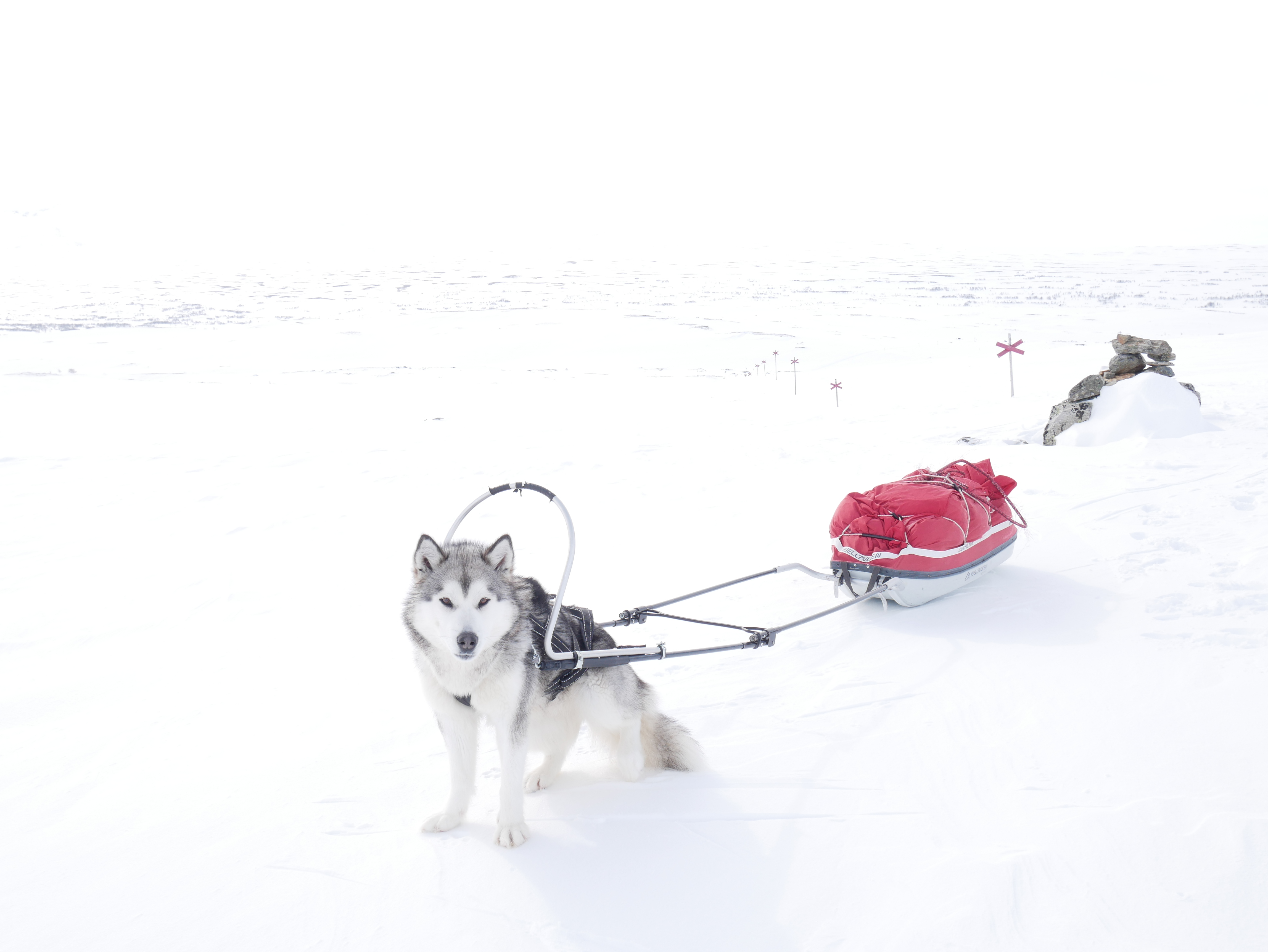 57A5B144-65DB-4DD8-82E0-0A7C7B515D7C