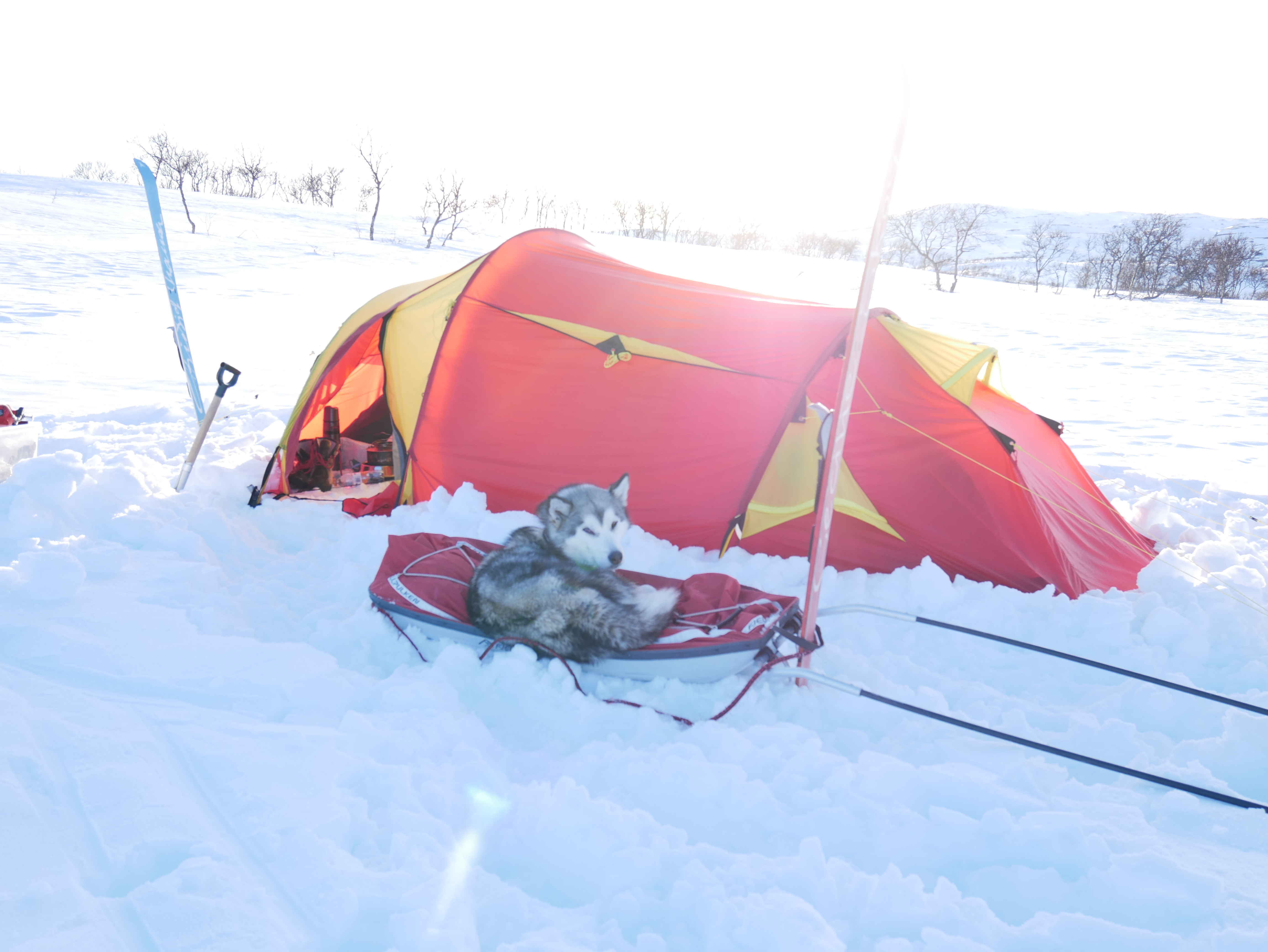 65C18F11-9678-4A1B-A0C2-C0E1EE47D658