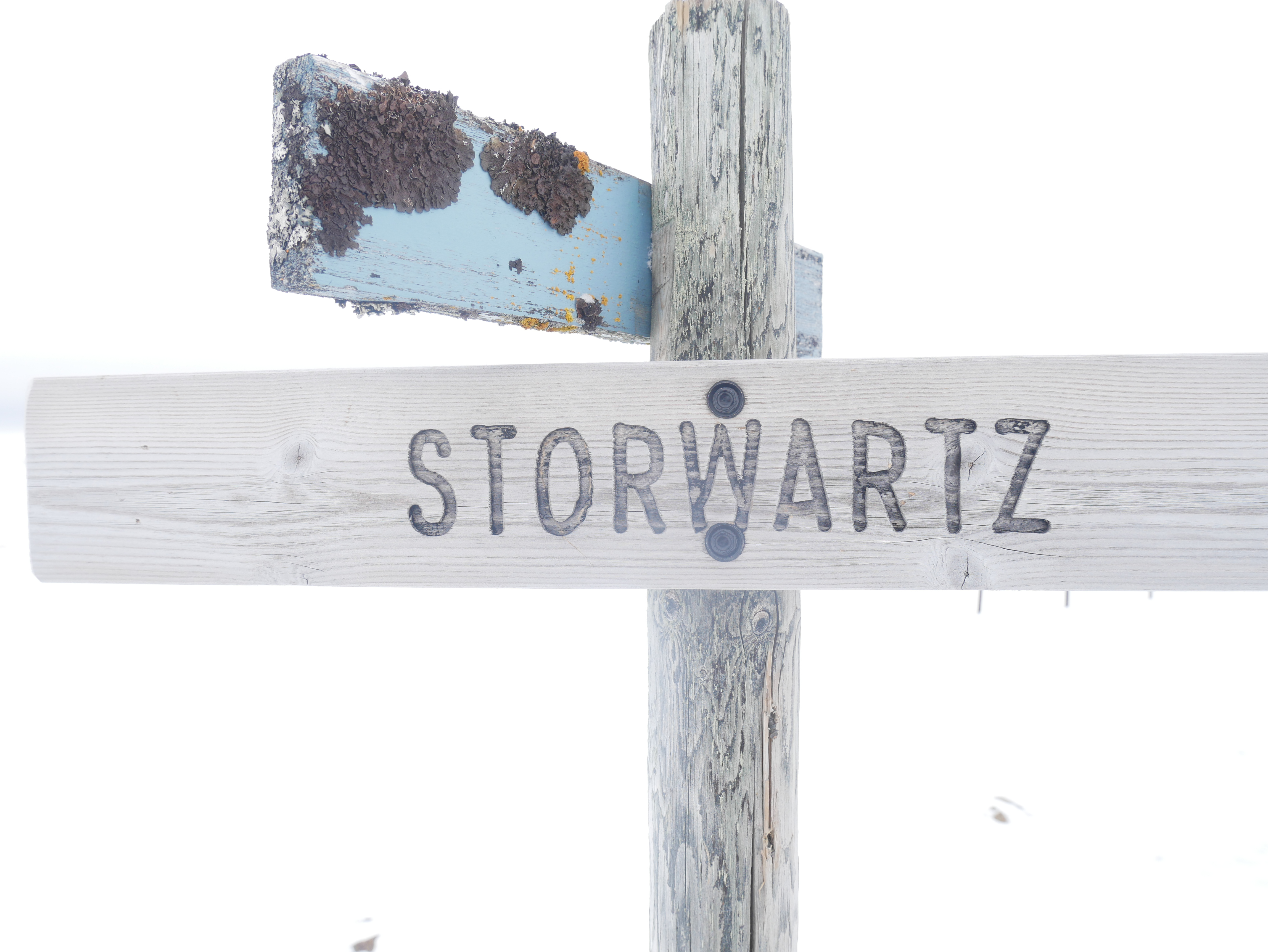 69CCA826-6084-4A33-8FE1-92FD9D769D9B