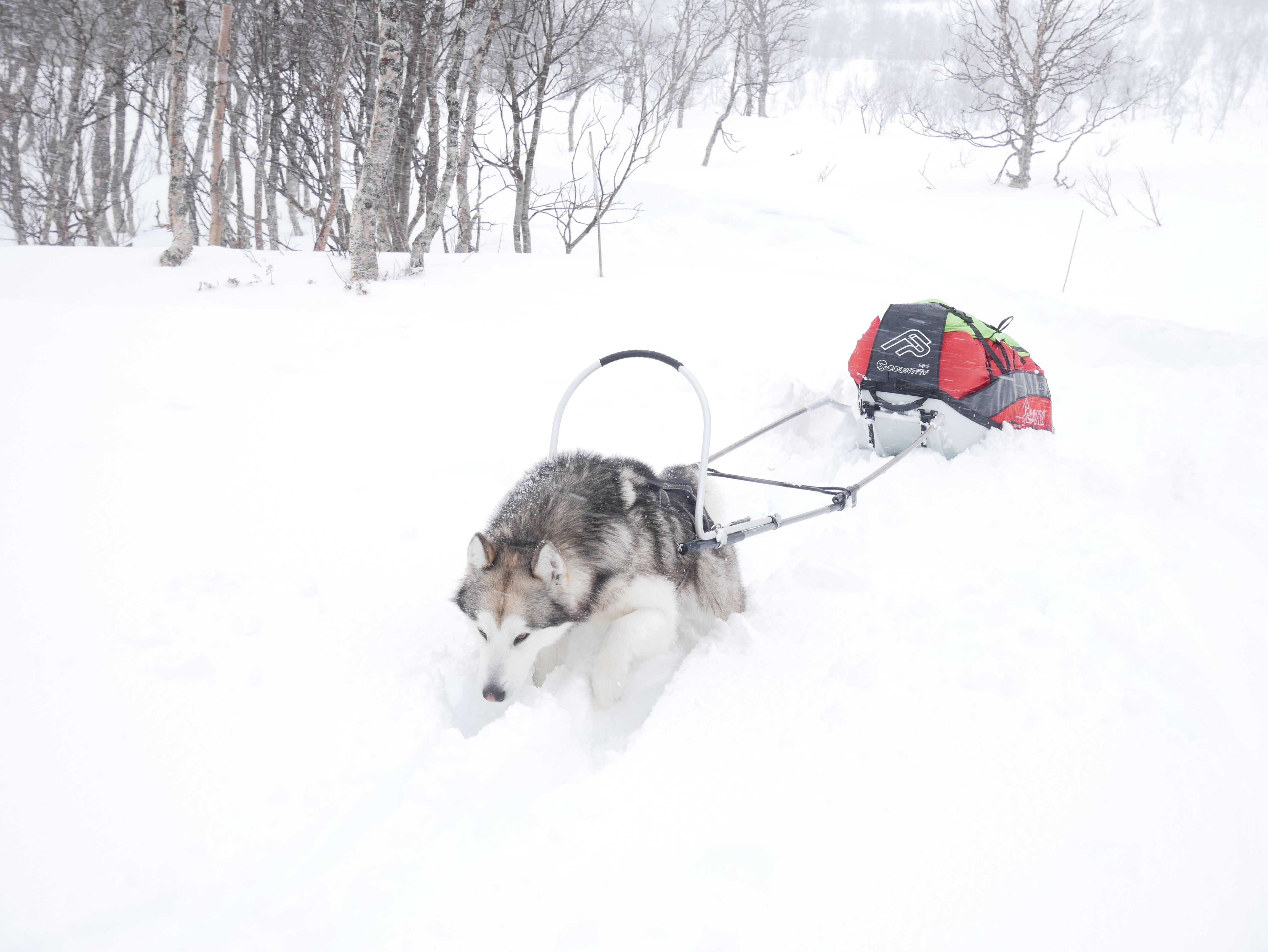 7250E53C-6960-4D75-8E01-121C8C651F6E