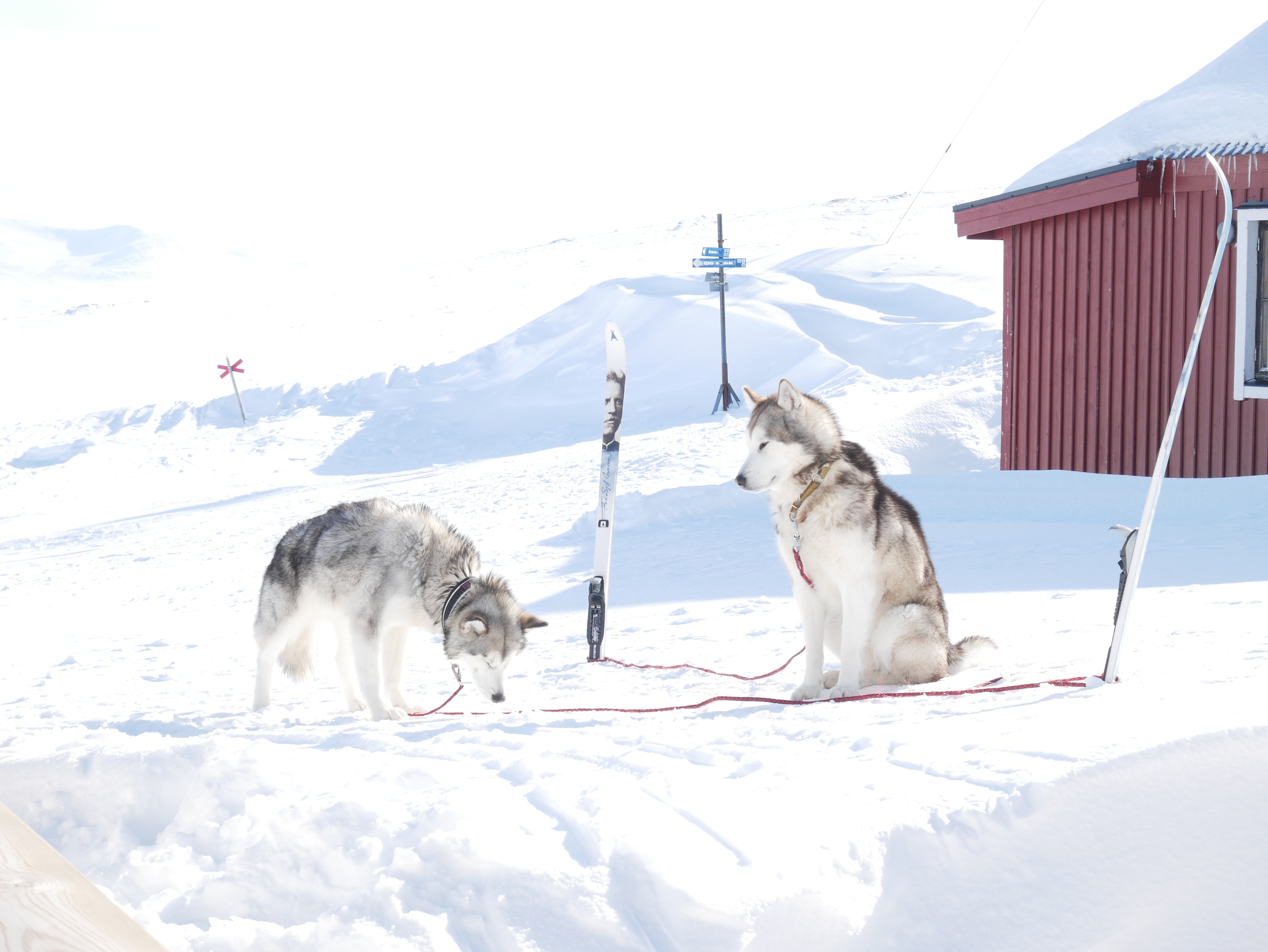 ABCB875E-6415-400A-99B5-09A38D00F028