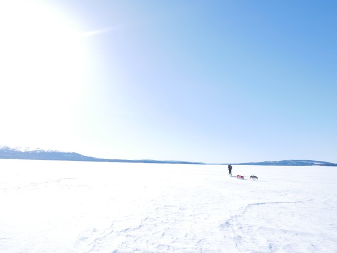 B57654A7-6E7B-48BA-8EE2-DF082C122BCD