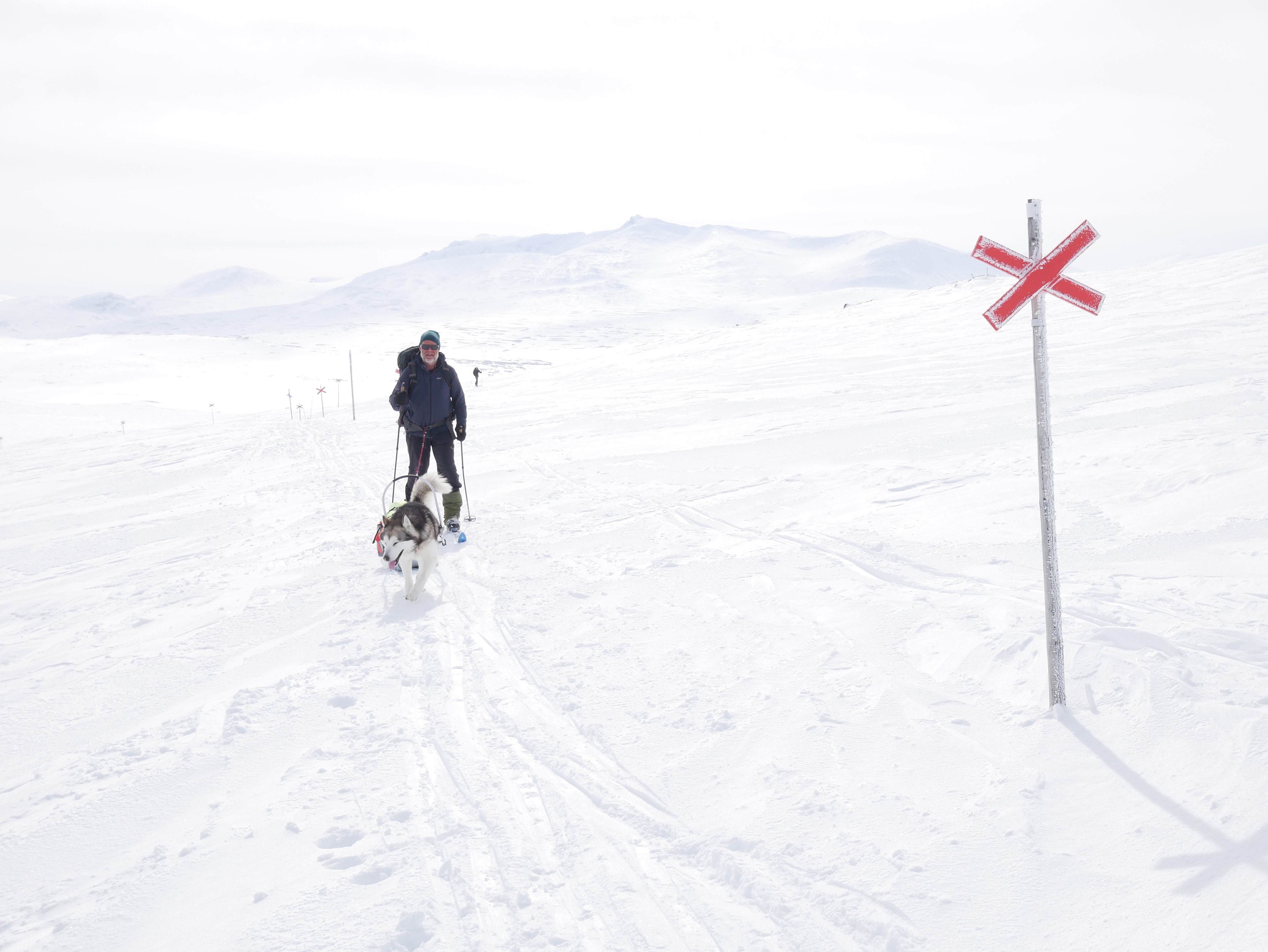 D3CB9D1C-7BEE-403D-87B6-AC1A17281A2D