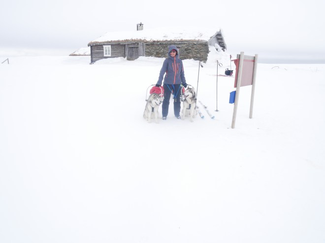 DF1C9B2D-3965-4DF0-9278-7EFBA6591057