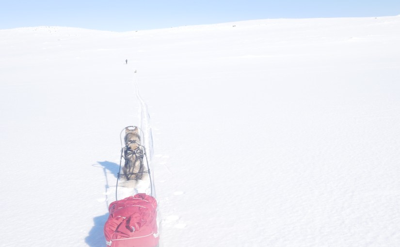 Dag 39: Herlig tur fra Vingelen til&nbsp;Dalsbygda