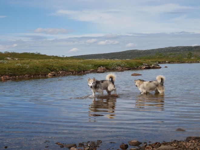 2B54520D-9CE7-4886-B2B2-190D8EFE3282