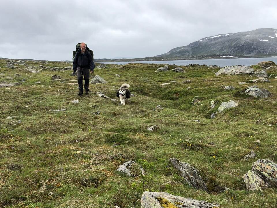 37818602_10216452916463788_4332666023548289024_n