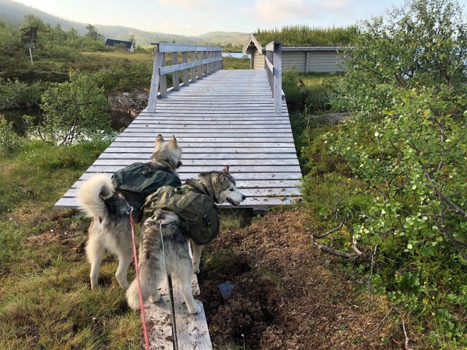 D9CF2231-066C-4AA5-ABE0-6617F63657E1