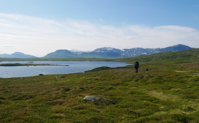 Dag 63: Endelig&nbsp;Børgefjell