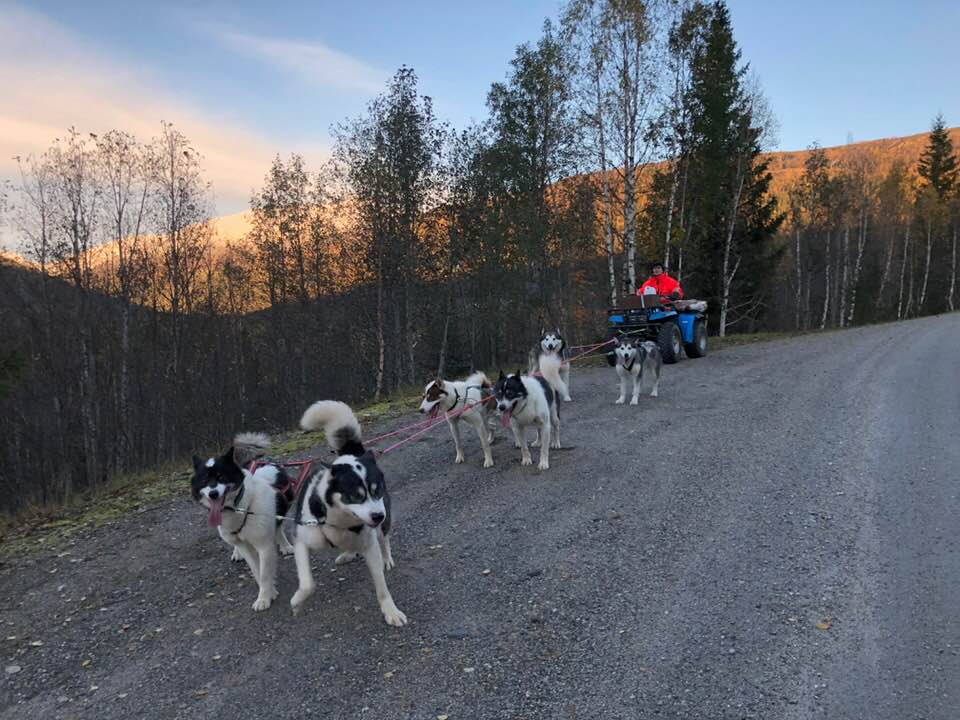 43029206_10216985217890991_5298068921004326912_n