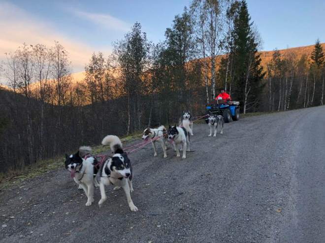 43029206_10216985217890991_5298068921004326912_n