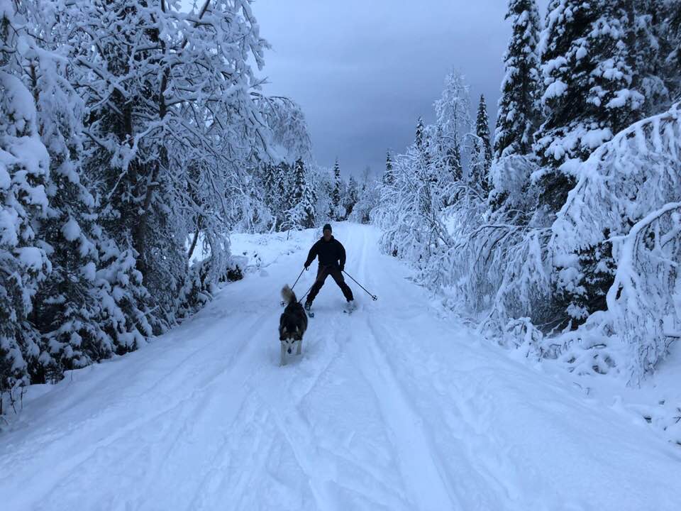 49206224_10217655809655366_4576727329690091520_n