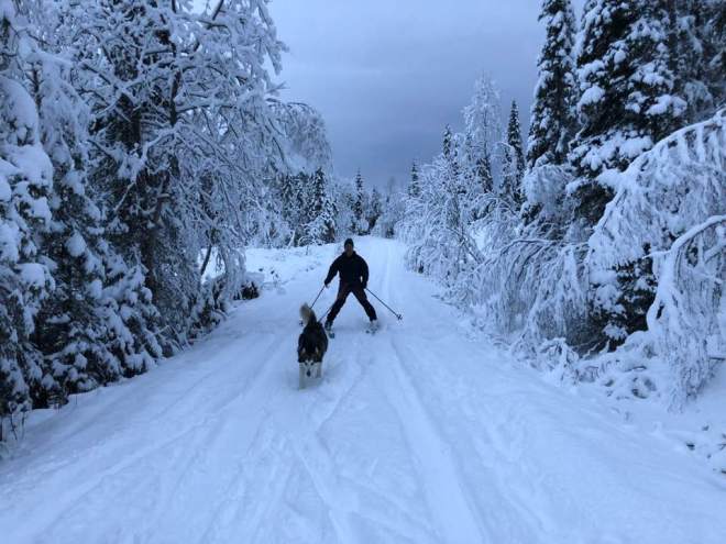 49206224_10217655809655366_4576727329690091520_n