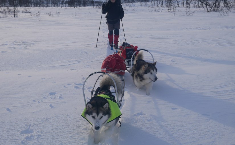 Dag 71: Dryg tur fra Røssvatnet til&nbsp;Kåtaviken