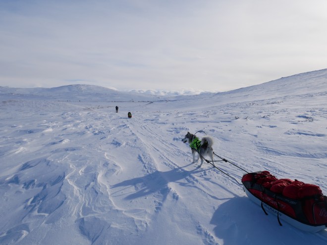 00D845F8-708E-4231-BCBA-D1CA058026ED