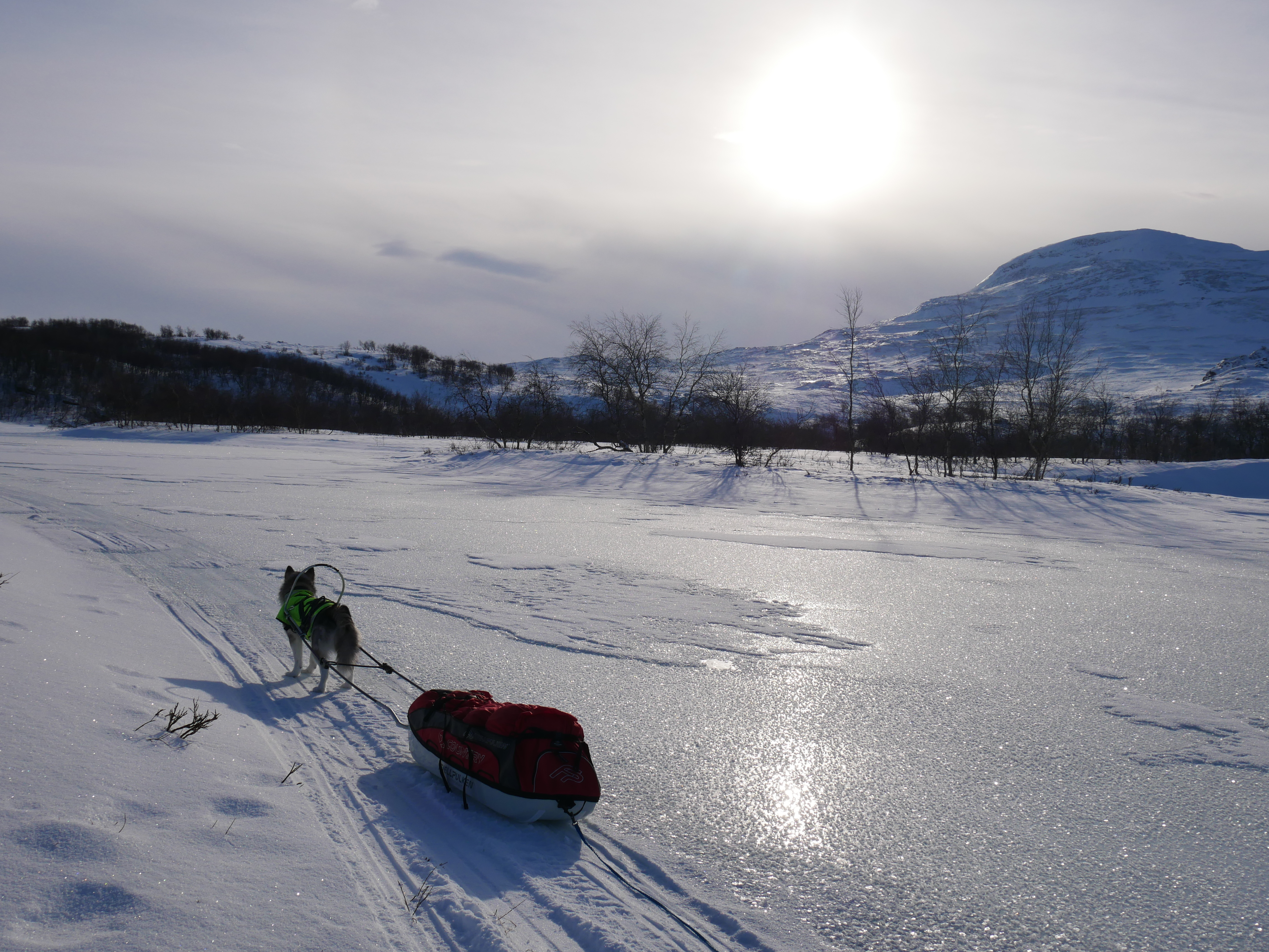 2543ABB5-2608-46DE-BFE2-F51E8B60751E