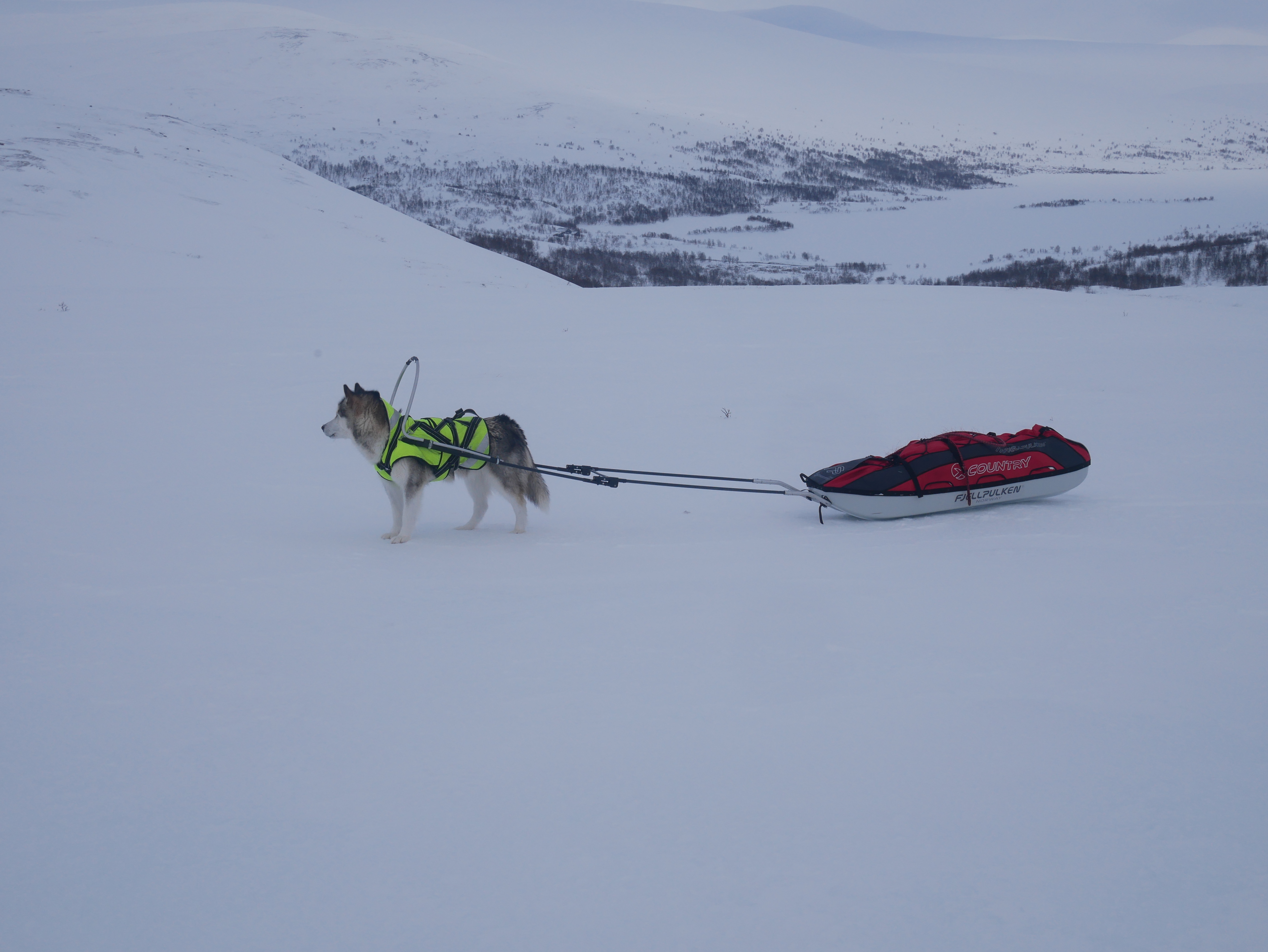 433EE318-B117-4C3E-82BA-E3361E9F57B3