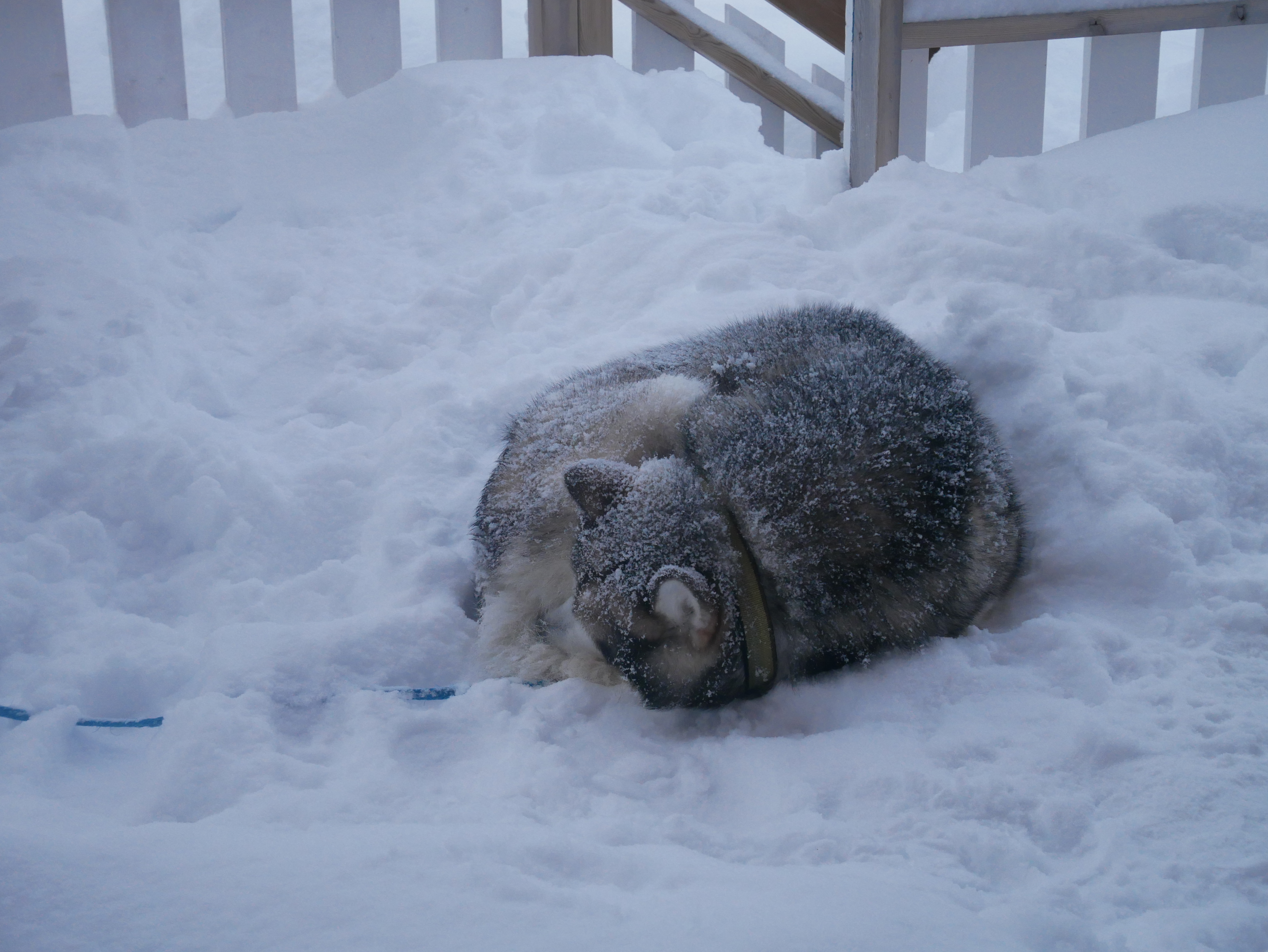 4C25F2F5-4D84-44FF-A95D-FB53722DFF3F