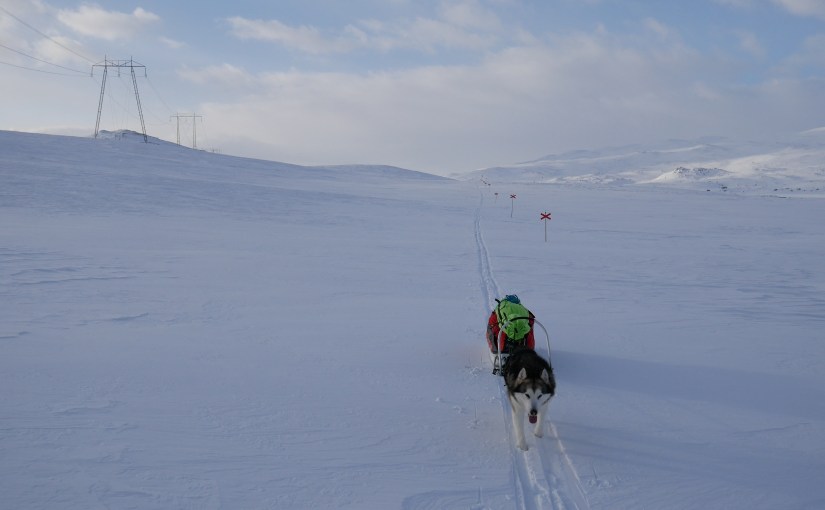 Dag 87: Fra Sitasjaure til Hukejaurestuene.