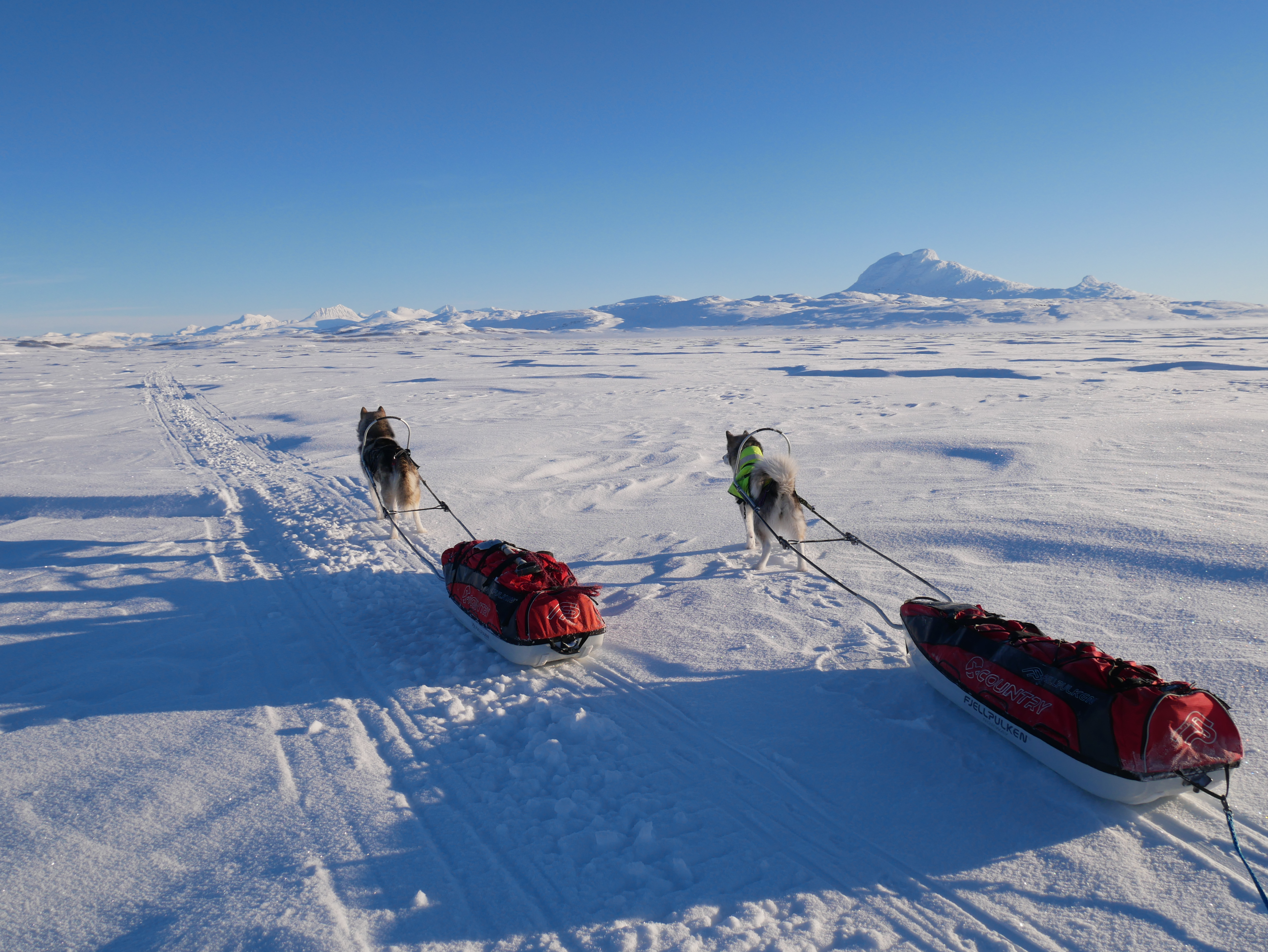 683BDF56-4FA2-48C1-A297-9A9AC1AC31B4