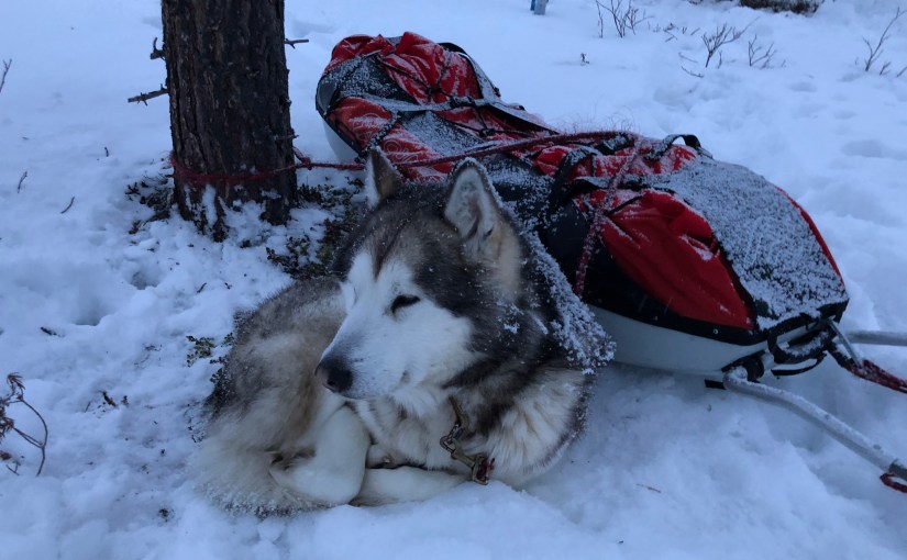Dag 93: Regn og sludd fra Abisko til&nbsp;Láimoluokta