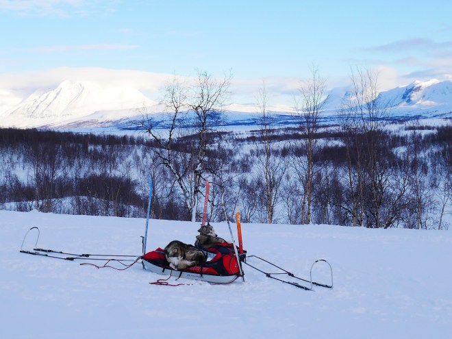 7B9576BE-3288-49B4-A729-E37756E33B53