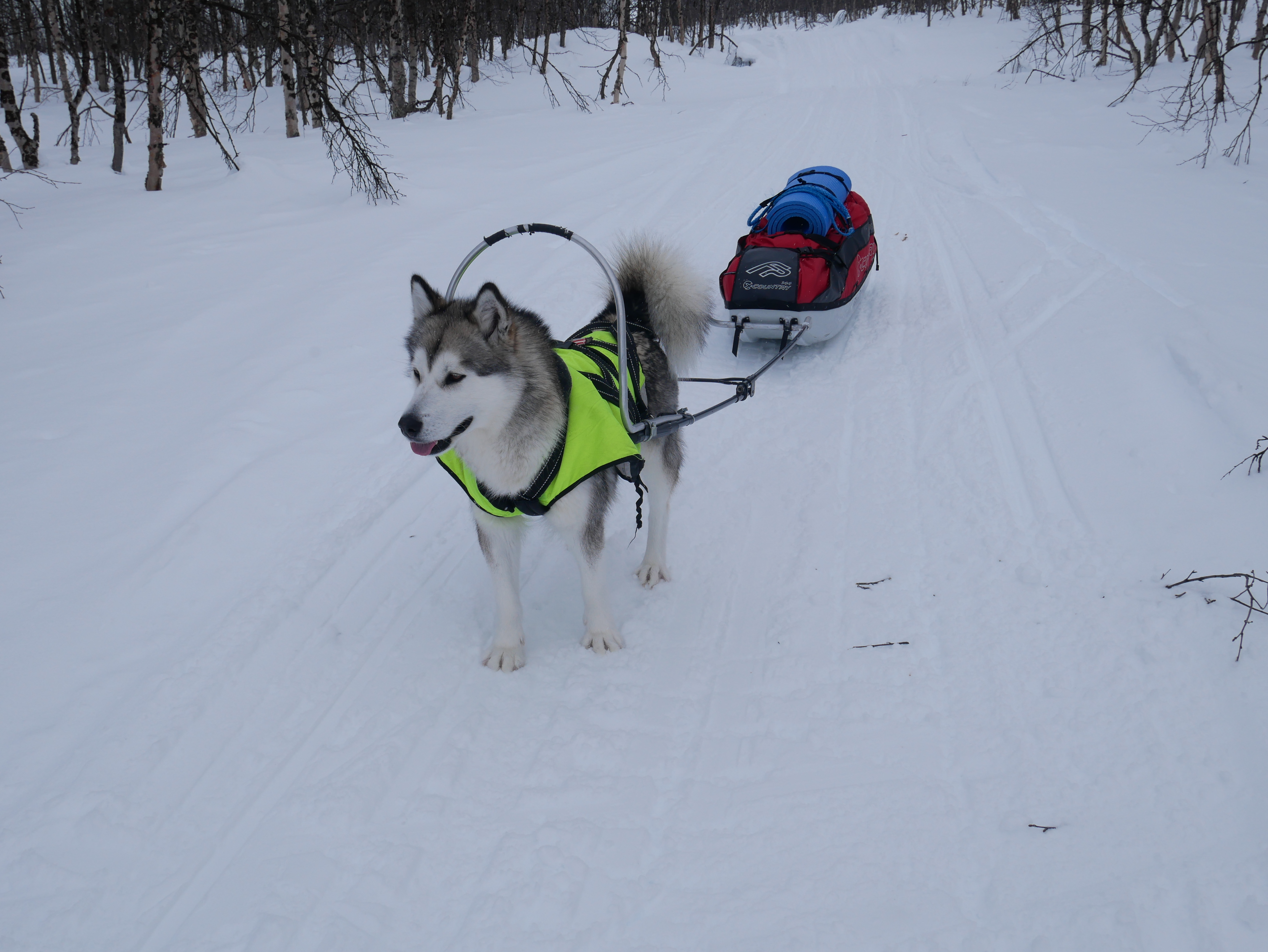 7CB5E919-32A3-4DFE-88AF-75ED1771C9A6