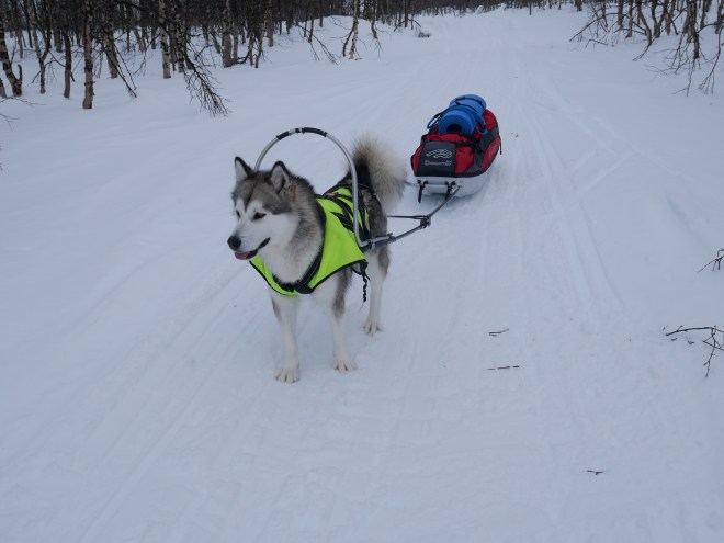 7CB5E919-32A3-4DFE-88AF-75ED1771C9A6