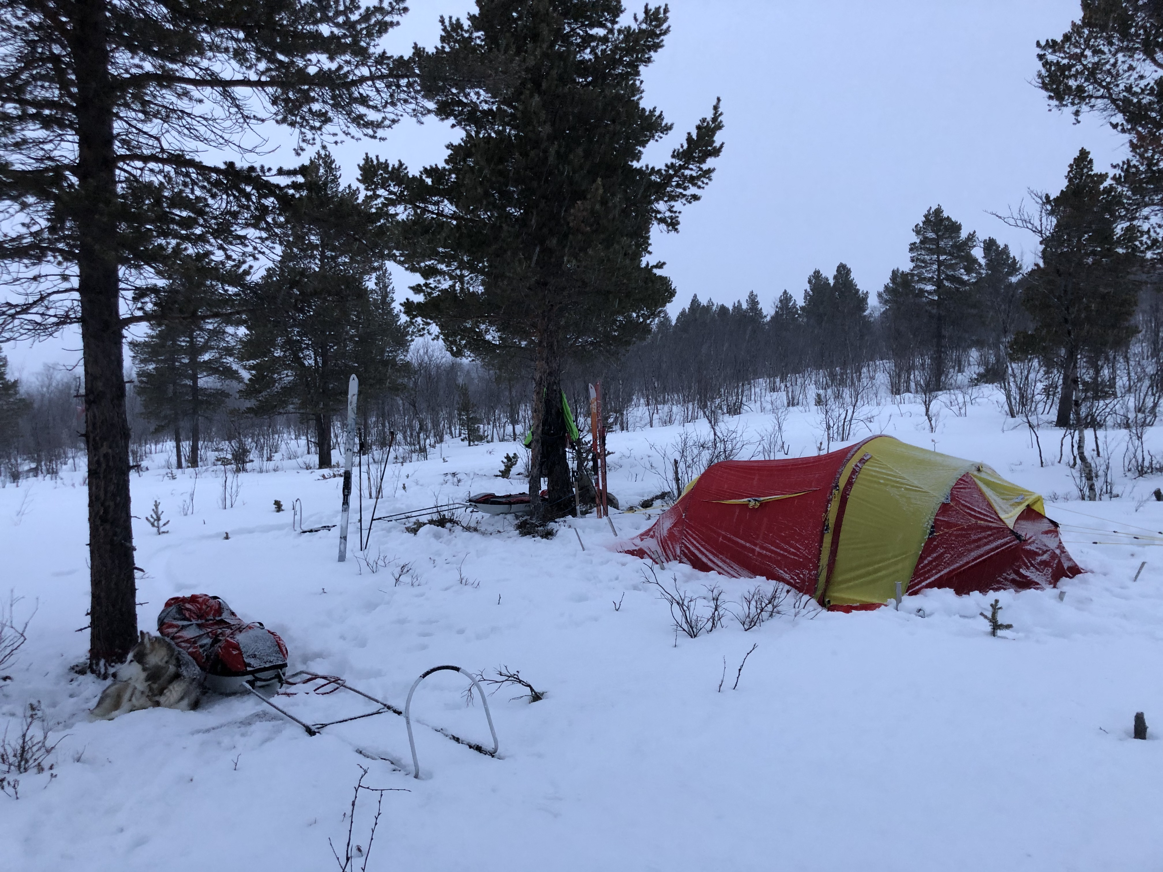 8AC12D2D-CC43-44D9-84F2-38E1EA2FA48B