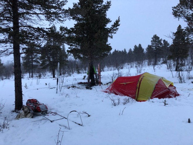 8AC12D2D-CC43-44D9-84F2-38E1EA2FA48B