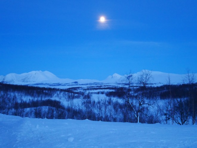 A30C4DA6-D9D5-44E2-86D0-F4017BB2657F