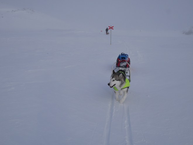 BA09A555-20EE-4EBE-9D38-11F67E4FAECF